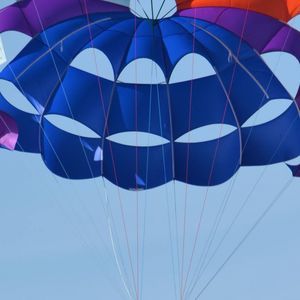 Meet your Posher, Jayson